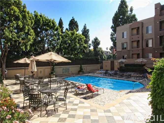 A pool surrounded by chairs and umbrellas with a building in the background.