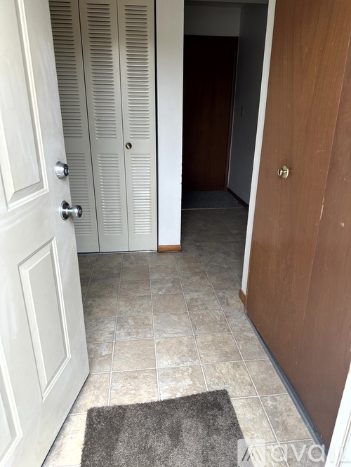 A hallway with a white door, a brown door, and a rug on the floor.
