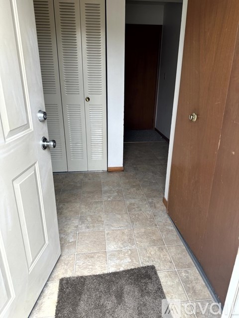 A hallway with a white door, a brown door, and a rug on the floor.