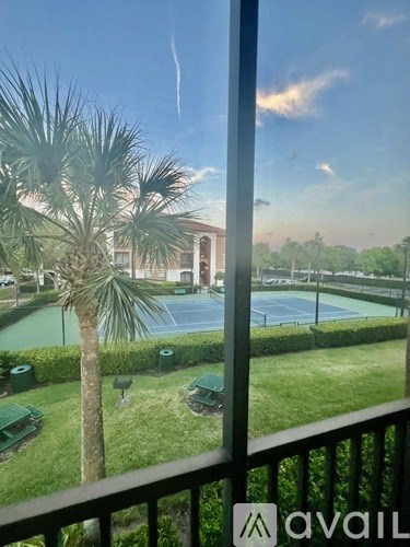 A palm tree stands in front of a tennis court.
