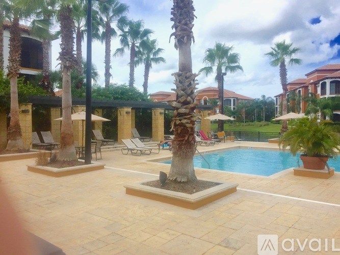 A pool surrounded by palm trees and a few chairs.
