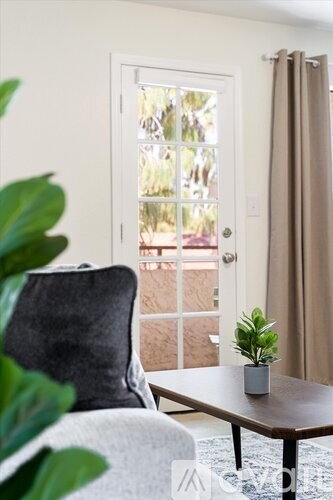 A living room with a grey couch, a grey pillow, a small table with a plant on it, and a door with a view of a backyard.