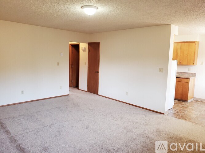 A room with a carpeted floor and two doors.