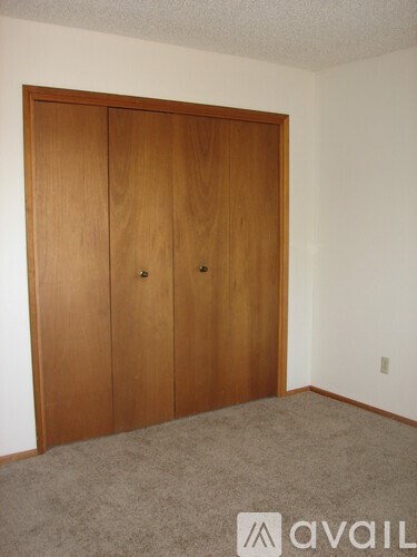 A room with a brown wardrobe and carpeted floor.