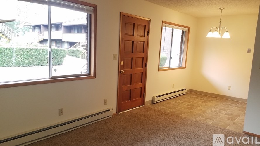 A room with a brown carpet, a wooden door, and a window with a view of a building outside.
