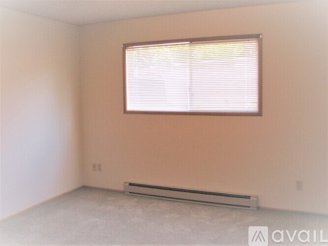 A room with a window and a radiator on the floor.