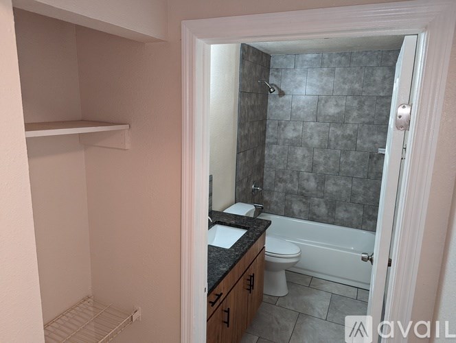 A bathroom with a walk-in shower and a toilet.