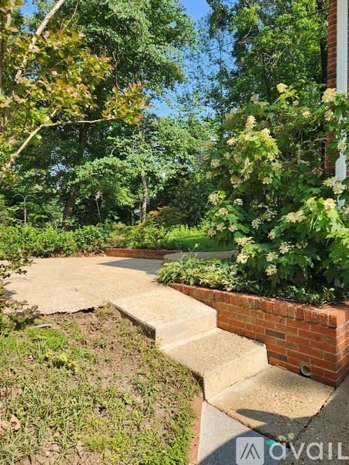 A garden with a brick wall and a concrete path.