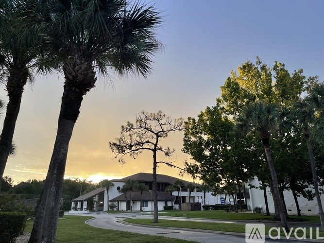 A palm tree stands in front of a building with the word "AVAIL" on it.