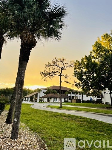 A palm tree stands in front of a building with the Avail logo.