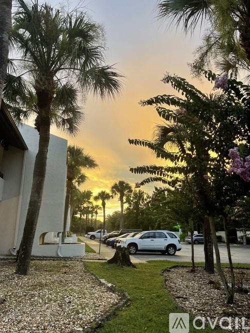 A sunset view with palm trees and a white car parked in the driveway.