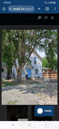 A tree in front of a blue door.