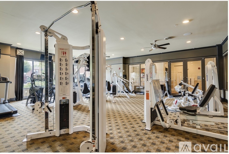 A gym with a variety of equipment including treadmills, weights, and a rowing machine.