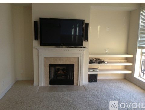 A living room with a fireplace and a television.