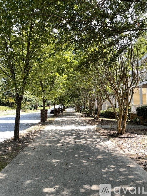A tree-lined sidewalk in front of a building.