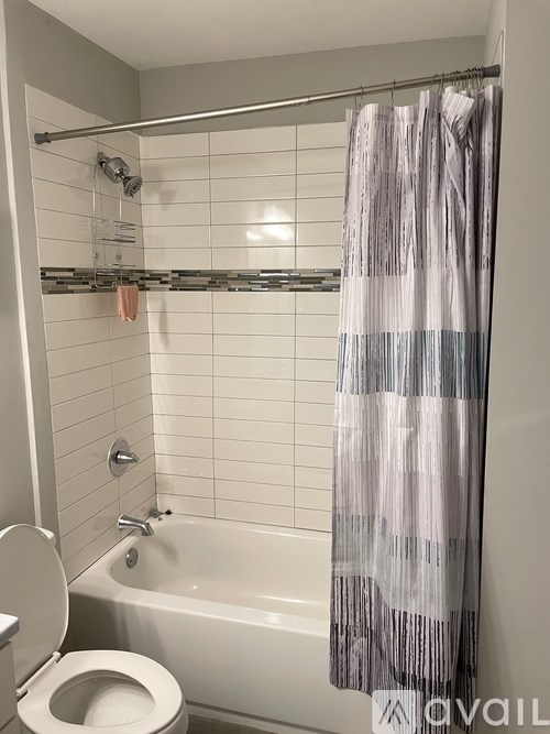 A bathroom with a toilet, tub, and shower curtain.