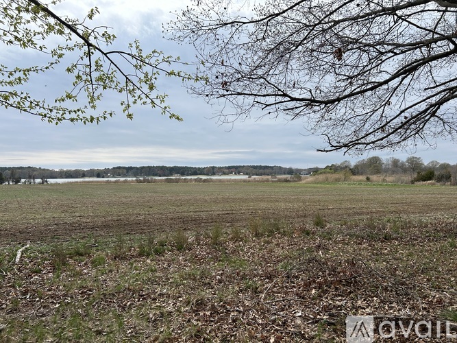A field with a tree branch in the foreground and a cloudy sky above.