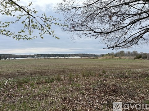 A field with a tree branch in the foreground and a cloudy sky above.