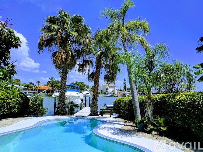 A pool surrounded by palm trees and bushes.