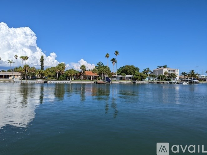 A body of water with buildings and palm trees in the background.