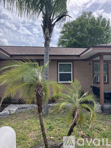 A house with a brown roof and a palm tree in front.