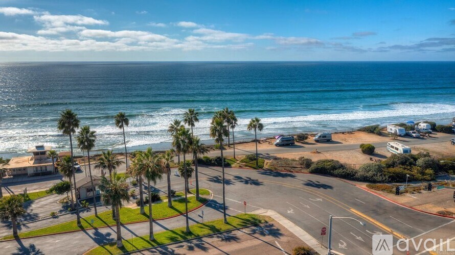 A beachfront street with palm trees and ocean in the background.