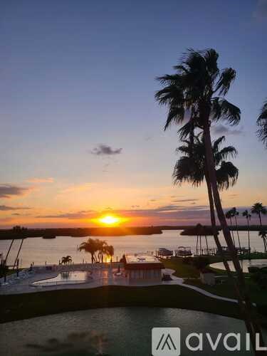 A sunset view with palm trees and a pool.
