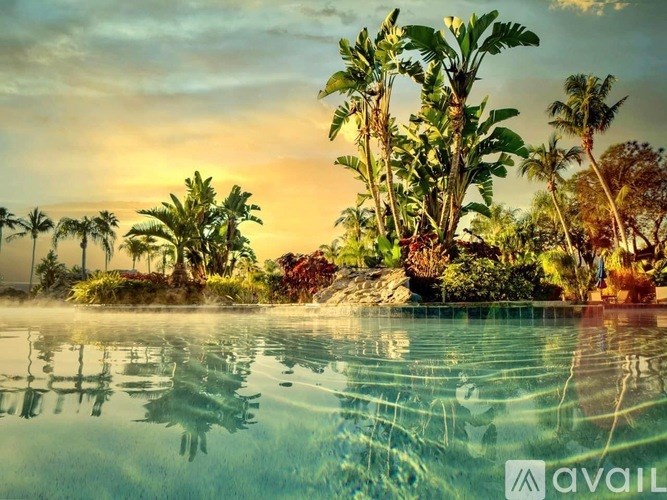 A serene tropical landscape with a pool in the foreground and palm trees in the background.
