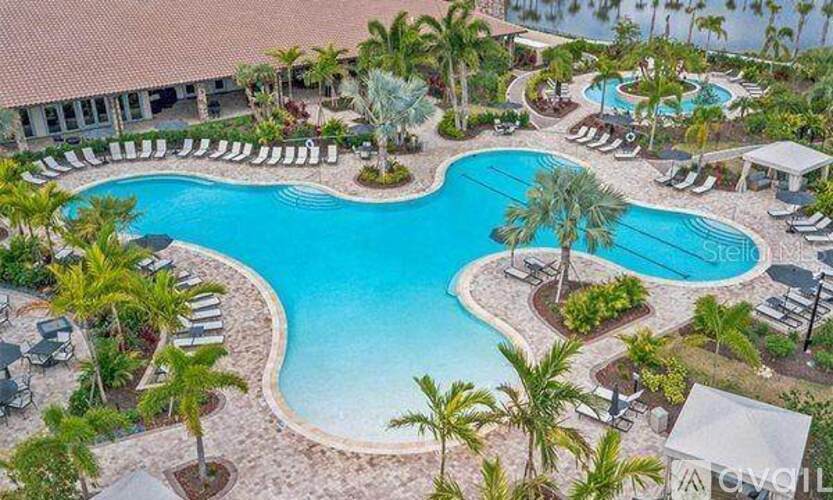 A large swimming pool surrounded by palm trees and lounge chairs.
