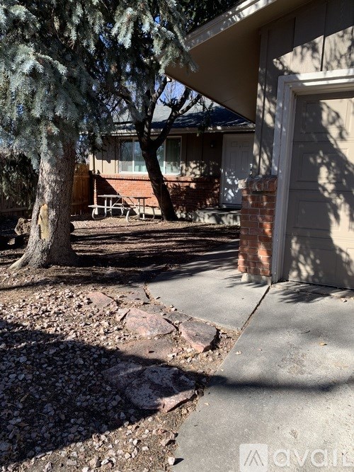 A tree in front of a house with a bench under it.