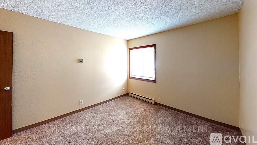 A room with a carpeted floor and a window with sunlight shining through.