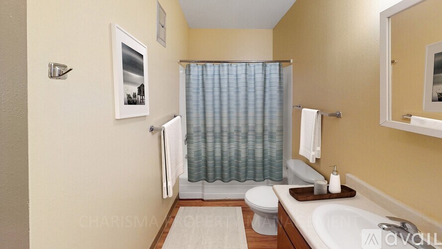 A bathroom with a toilet, sink, and shower curtain.