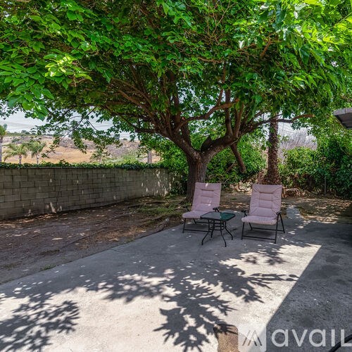Two chairs are placed under a tree in a backyard.