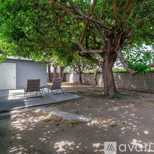 A tree with green leaves is in the foreground of the image.