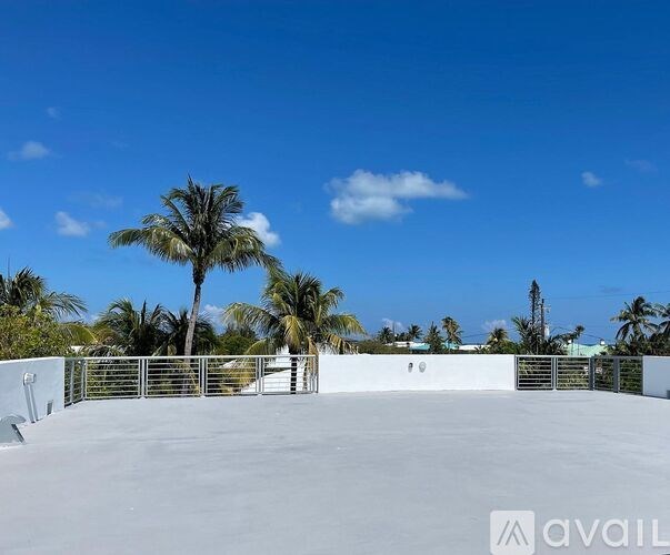 A rooftop with a metal railing and palm trees in the background.
