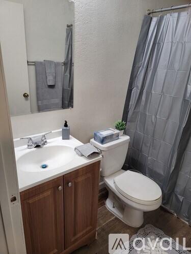 A small bathroom with a toilet, sink, and shower curtain.