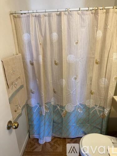 A shower curtain with a blue pattern at the bottom.