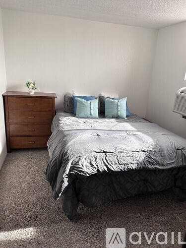 A bedroom with a bed, dresser, and carpet.