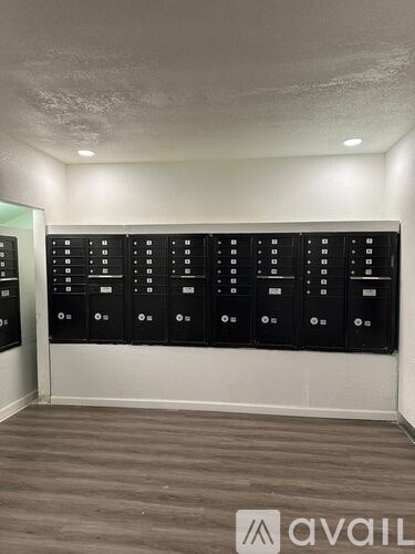 A wall of black electrical switches and sockets.