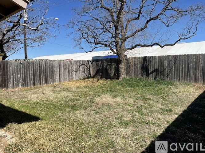 A backyard with a fence and a tree.