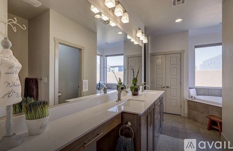 A bathroom with a vanity, a mirror, and a potted plant.