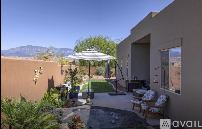A patio with a table and chairs under a canopy.