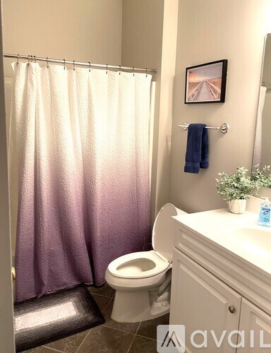 A bathroom with a toilet, sink, and shower curtain.
