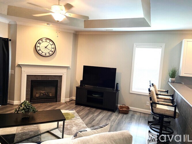 A living room with a fireplace and a television.