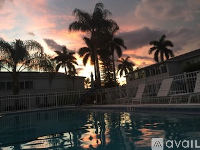 A pool surrounded by palm trees at sunset.