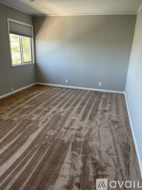 A room with a carpeted floor and a window.