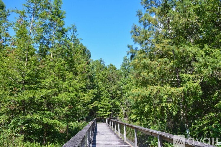 A wooden walkway leads through a dense forest.