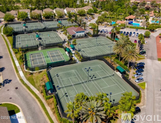 A tennis court surrounded by palm trees and other greenery.