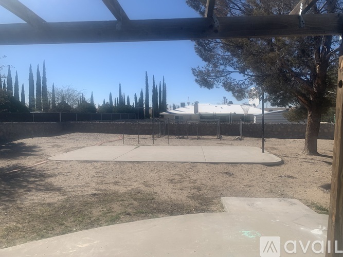 A backyard with a skateboard ramp and trees.