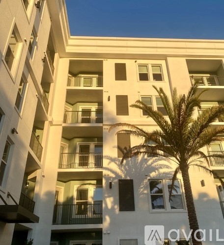 A tall white building with balconies and a palm tree in front.